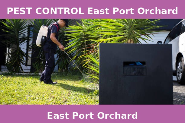 PEST CONTROL East Port Orchard